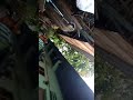 Giang hồ không dám đụng thảo ma bình duong