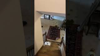 Horse Pooped In My House