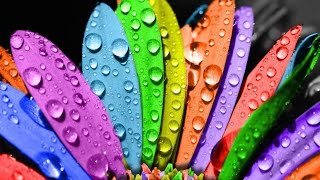 Enchroma and Colorblindness Explained! Enchroma and Colorblindness Explained!