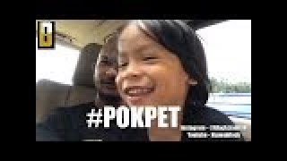 Dayyan ajar daddy lagu #pokpet