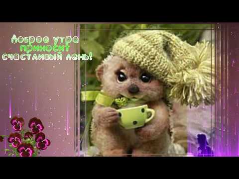 ПОЖЕЛАНИЯ ДОБРОГО ВОСКРЕСНОГО УТРА!КРАСИВАЯ МУЗЫКАЛЬНАЯ ОТКРЫТКА!