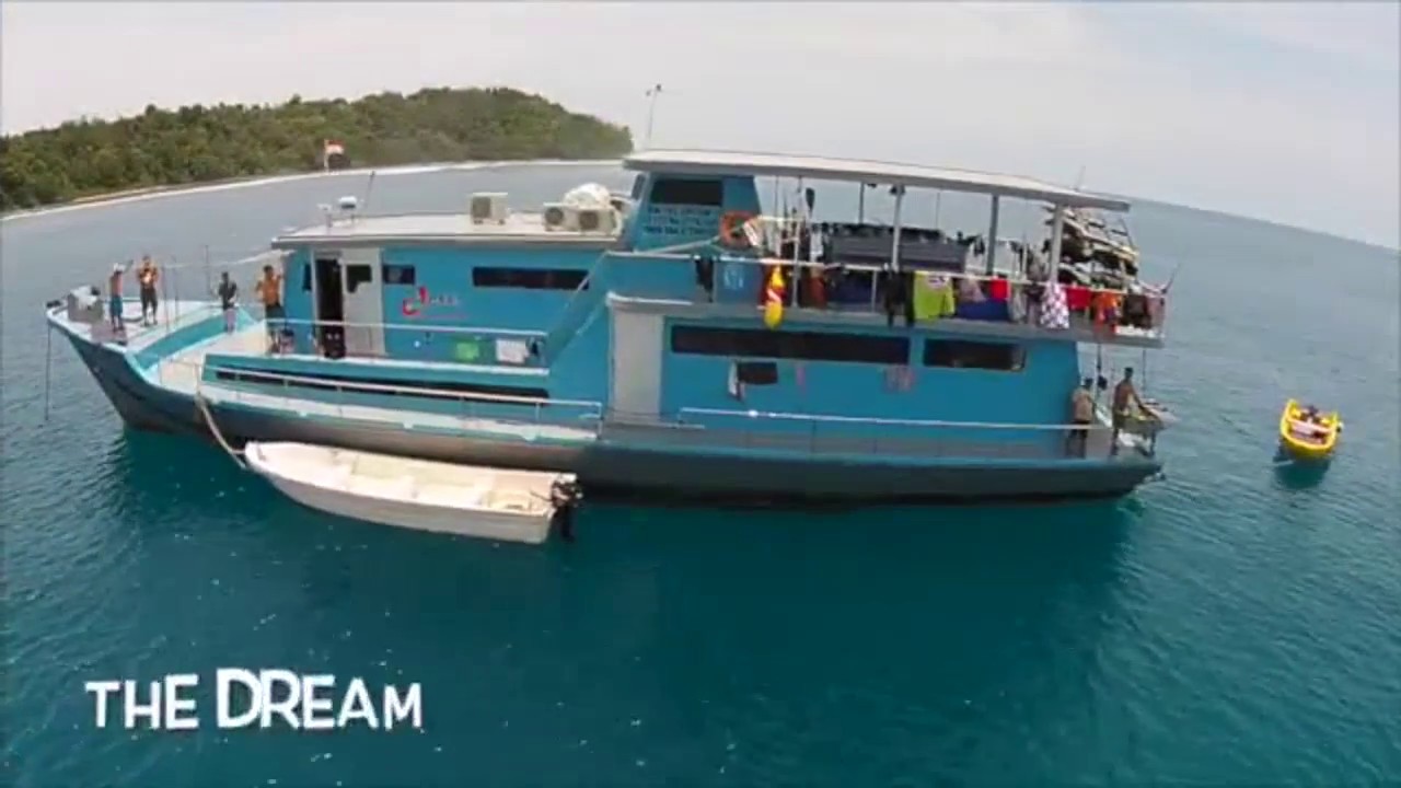 The Dream Surf trip