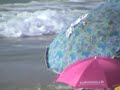 funny beach 27 hidden camera on the beach voyeur comedy