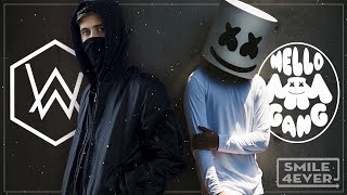 Alan Walker & Marshmello Mix 2017 - Best Songs Ever Of Alan Walker & Marshmello - Electro House 2017