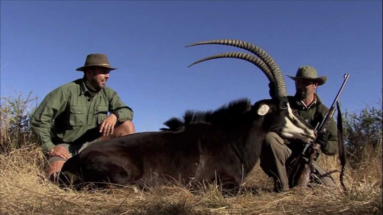 Namibia África Caza Safaris - AfriHunt Safaris Namibia África Caza Safaris - AfriHunt Safaris