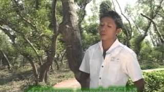 Watch Roches I Love My Mom video