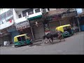 Video 14. УТРО НА МЭЙНБАЗАРЕ. КУДА УХОДЯТ КОРОВЫ, ГДЕ У НИХ ГНЕЗДО. ОЖИДАНИЕ... Video 14. УТРО НА МЭЙНБАЗАРЕ. КУДА УХОДЯТ КОРОВЫ, ГДЕ У НИХ ГНЕЗДО. ОЖИДАНИЕ...