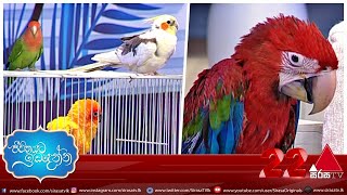 Jeevithayata Idadenna | Sirasa TV | 28th July 2020