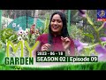 My Garden 18-06-2023