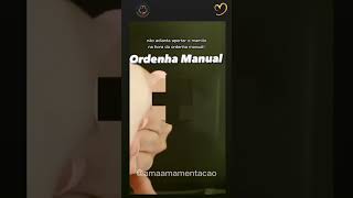 Aperto Meu Peito E Não Sai Nada Será Que Não Tenho Leite? Descubra