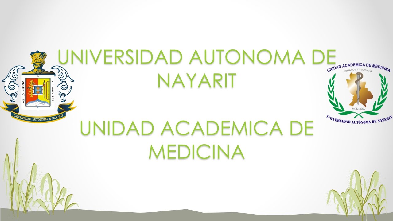 Plantas medicinales y DIabetes Mellitus tipo 2 - YouTube Plantas medicinales y DIabetes Mellitus tipo 2 - YouTube