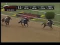 preakness stakes