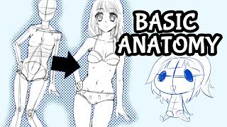 Female Anatomy for Beginners! ? Drawing Characters for Manga and Comics