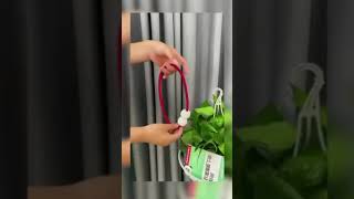 Curtain Clips Tieback Buckle Ball
