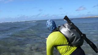 Water is Life Trailer