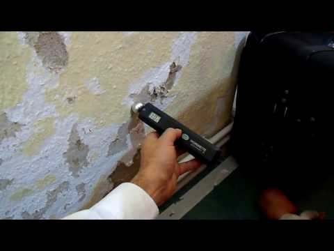 schimmel in der wohnung mietrecht
