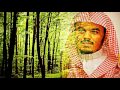 القارئ ياسر الدوسري - قراءة مؤثرة أإله مع الله