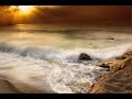 Assemblage 23 - Horizon