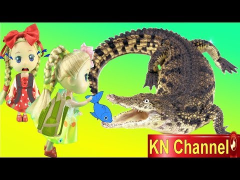 Đồ chơi trẻ em BÚP BÊ KN Channel CHO CÁ SẤU ĂN | THAM QUAN VIỆN HẢI DƯƠNG HỌC NHA TRANG