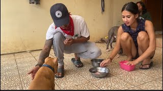 Anjing Pitbull Milik Host Uang Kaget Soraya Rasyid Sangat Gampang Dilatih
