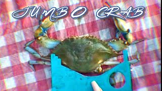 Chesapeake Crab - $1 JUMBO Crab! 7"+