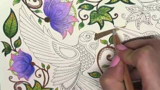 Secret Garden Coloring Book