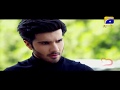 Mir Hadi | Khaani Drama | Baaghi OST Song