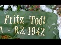 Todt