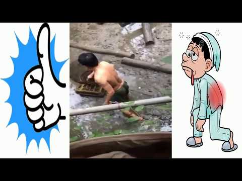 Đi bắt cá trê đồng khủng - trạch đồng về nhậu | cá trê khủng Đi bắt cá trê đồng khủng - trạch đồng về nhậu | cá trê khủng