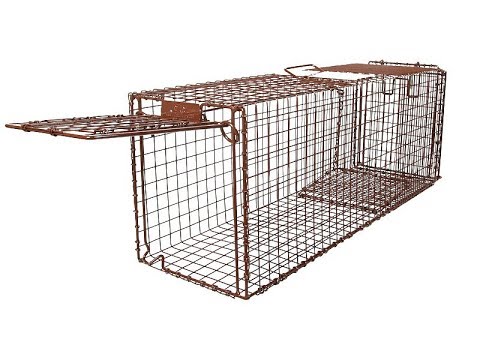 mosquito trap, best ever