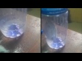 mosquito trap, best ever