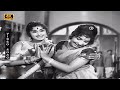 நூறாண்டு காலம் வாழ்க பாடல் | Nooraandu Kaalam Vaazhga song | sivaji padmini love song .