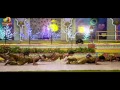 Chatting Movie Item Song Nidarostale Song Abhinaya Krishna Sunitha Chatting Movie Item Song Nidarostale Song Abhinaya Krishna Sunitha
