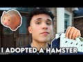 i adopted a hamster | getting my first pet hamster vlog
