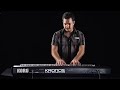 korg