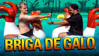 Desafio Da Galinha De Água Em Orlando