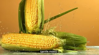Grant O Brien Argues With Paul Robalino About Corn For 56 Seconds