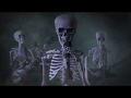 Sinflood - Them Bones (AIC cover)