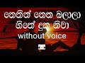 Nethin Netha Balala Karaoke (without voice) නෙතින් නෙත බලාලා