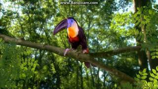 In The Night Garden - Toucan Song 2007