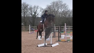Simulated XC lines with Caroline Moore riding Ali ~ March 2020