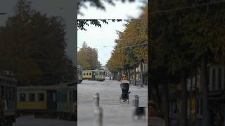 Trams In Haarlem, Netherlands In 1913 - Restored Footage