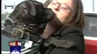 Fox 5 Vick Pit Bulls Brandon Bond Georgia Spca Rescue Ver. 2