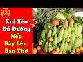 Loại Quả Này TUYỆT ĐỐI KHÔNG BÀY Lên Ban Thờ Tổ Tiên, Mâm Ngũ Quả Tết 2019,Thầy Phong Thủy Chỉ Ra thumbnail