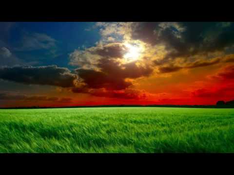 Beautiful Piano Music That Touches Your Heart Beautiful Piano Music That Will Make You Cry