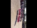 23NİSAN2013 SARIYAPRAK İLKOKULU 3A PENGUEN DANSI - Yeni Fragman
