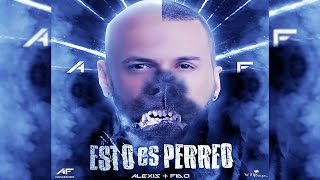 Alexis Y Fido - Esto Es Perreo | Video Lyrics