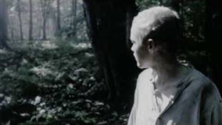 Trailer: "Muukalainen" (2009) AKA "The Visitor"