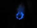 bio luminescence