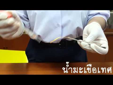 การทดลองเบื้องต้น_ ค่าความเป็นกรดของผลไม้รสเปรี้ยว